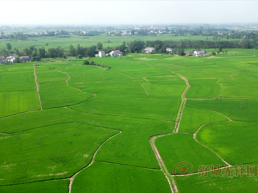 从“稻香沃野”到“黄精飞地”