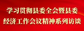 学习贯彻县委全会暨县委经济工作会议精神系列访谈