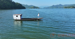 海岛医生