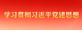 学习贯彻习近平党建思想